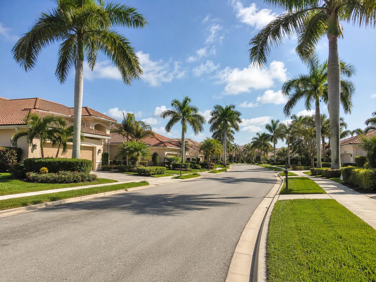 Palm-lined residential street in Fairway Estates